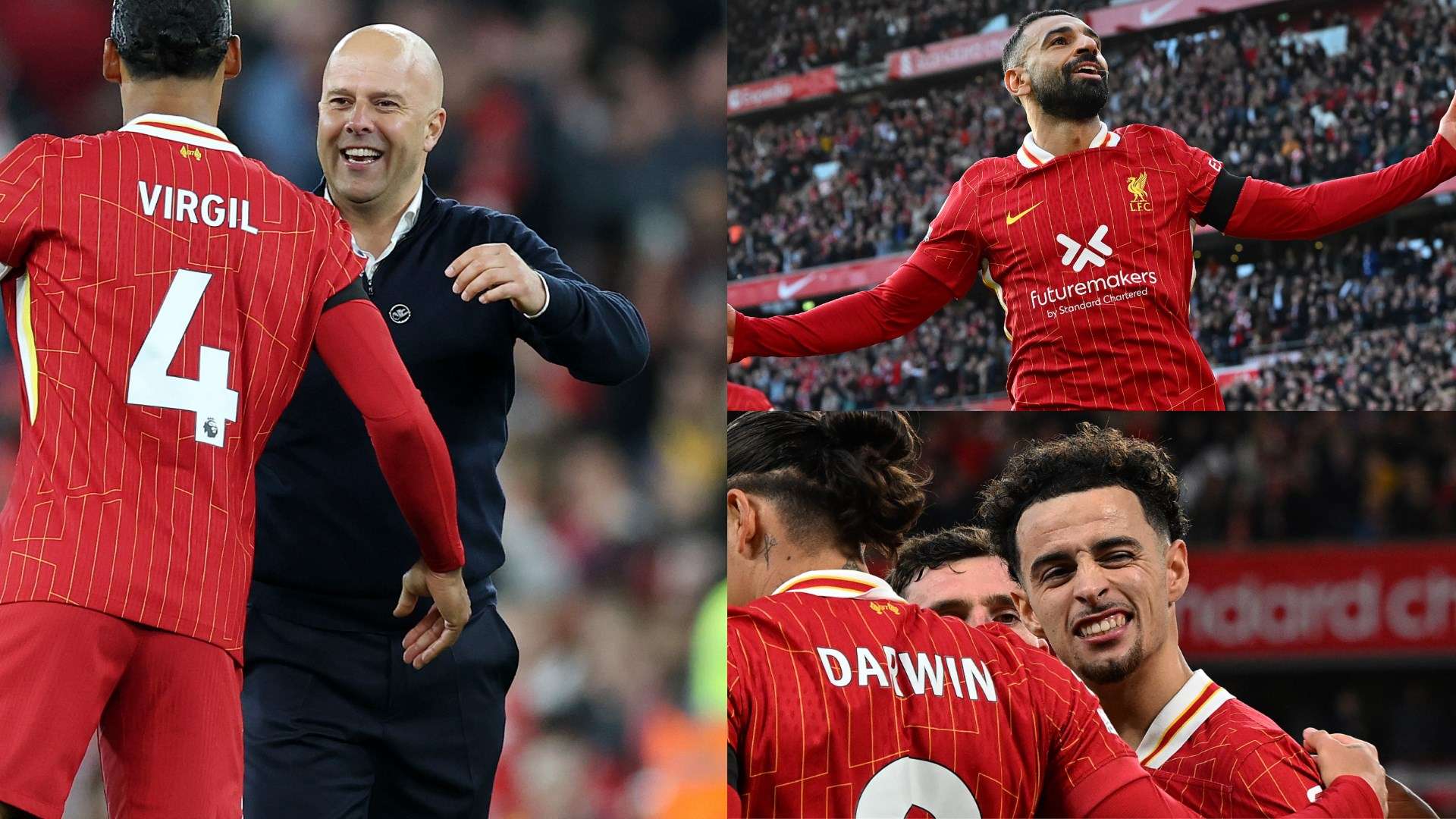 阶段的培养 阶段的培养